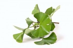 ginkgo biloba voor penisvergroting